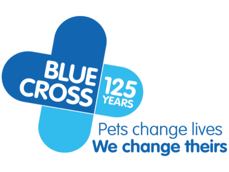 blue cross logo case study