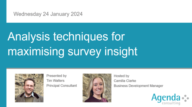 Analysis techniques for maximising survey insight